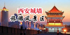 美女被欧美大黑哥c上天爽死喷水在线看中国陕西-西安城墙旅游风景区